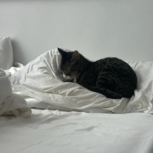 Cleopatra thumbnail 5