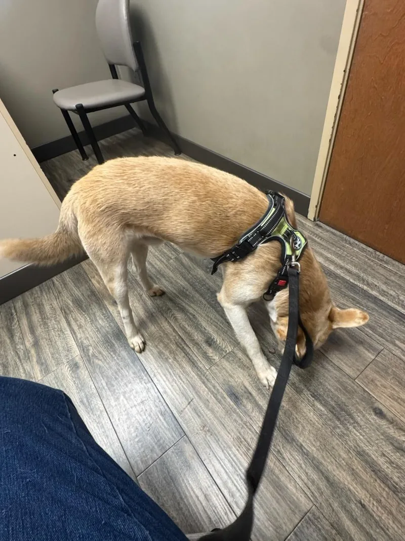 Baxter Training Graduate thumbnail 2
