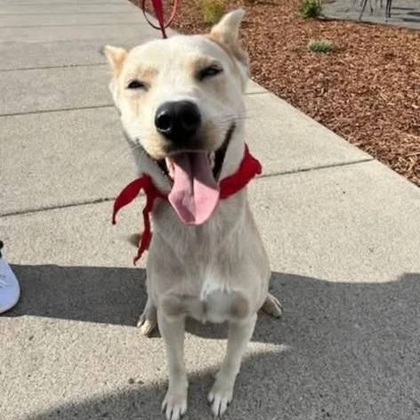 Baxter Training Graduate thumbnail 3