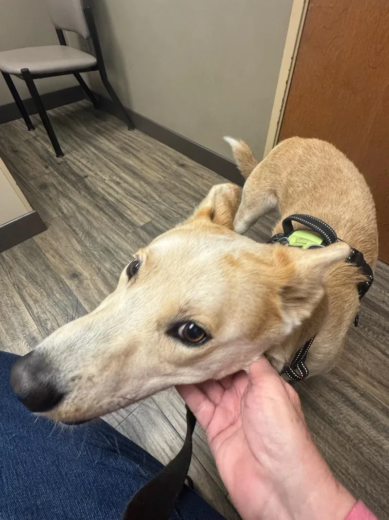 Baxter Training Graduate thumbnail 4