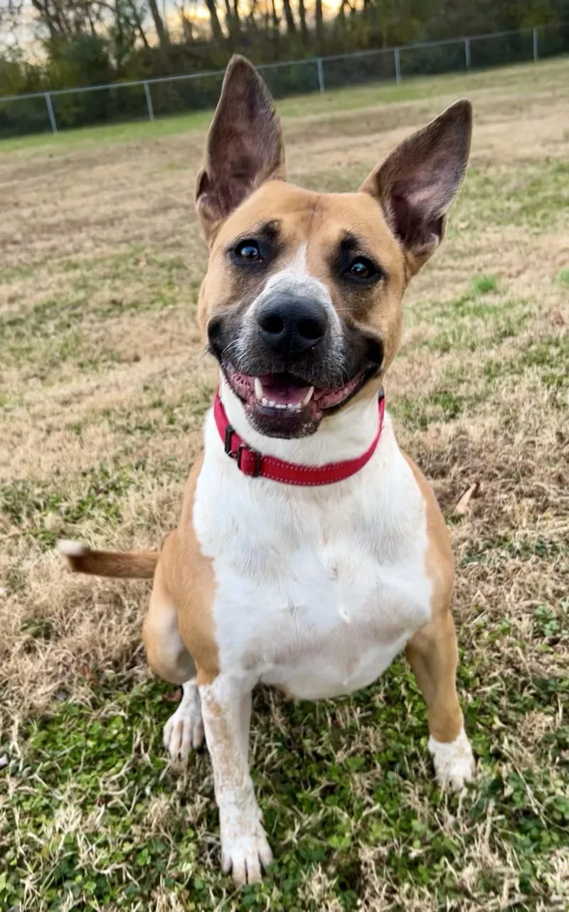 Laurie Ann thumbnail 2