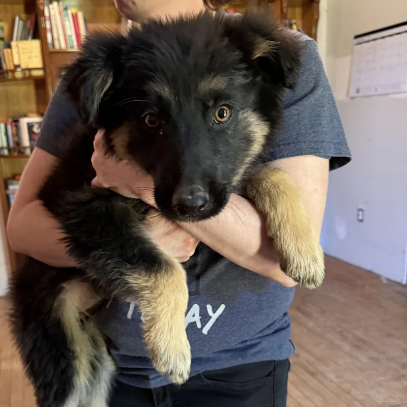 No Name Yet