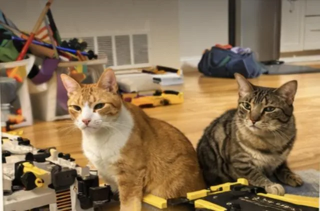 Kona & Maui thumbnail 3