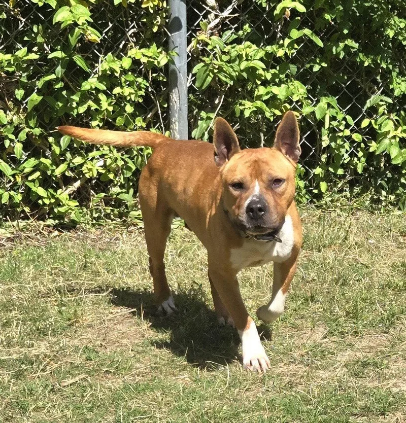 Da  Jerry thumbnail 3