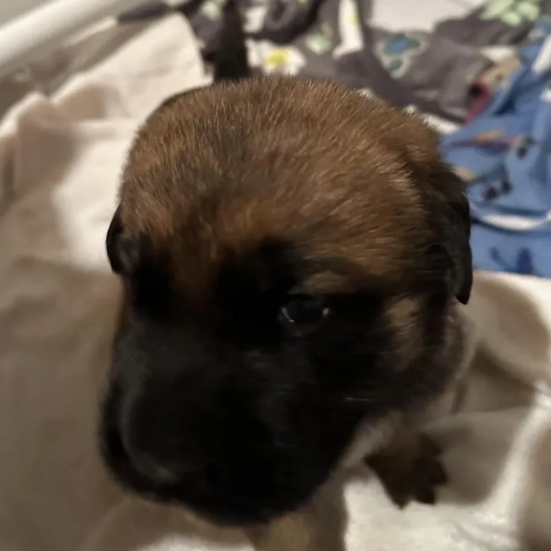 Daisy Duke thumbnail 5