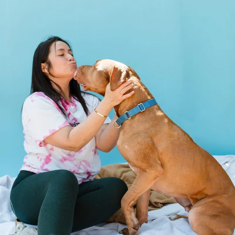 Charles Barkley thumbnail 5