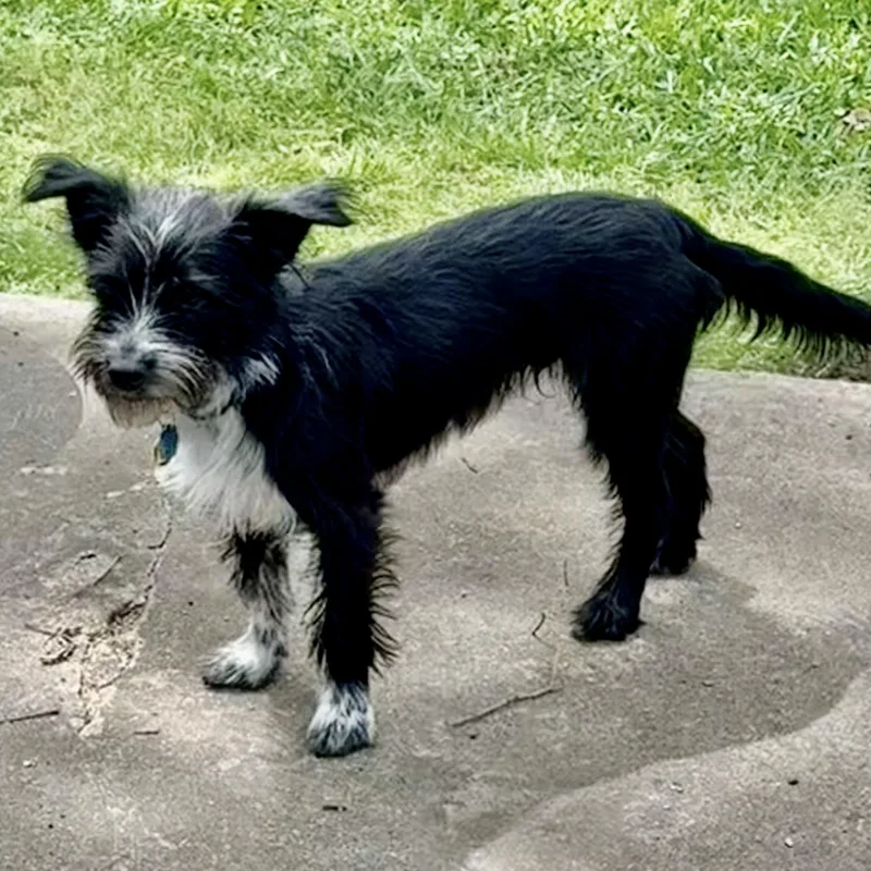 Spike Turner thumbnail 2