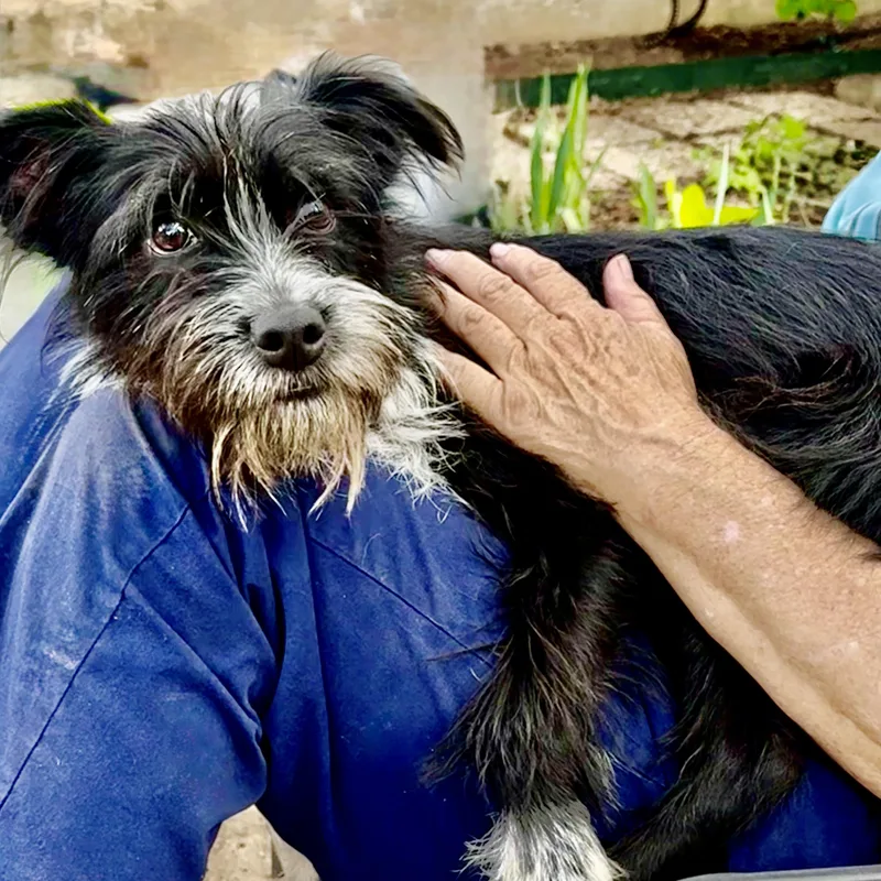 Spike Turner thumbnail 3