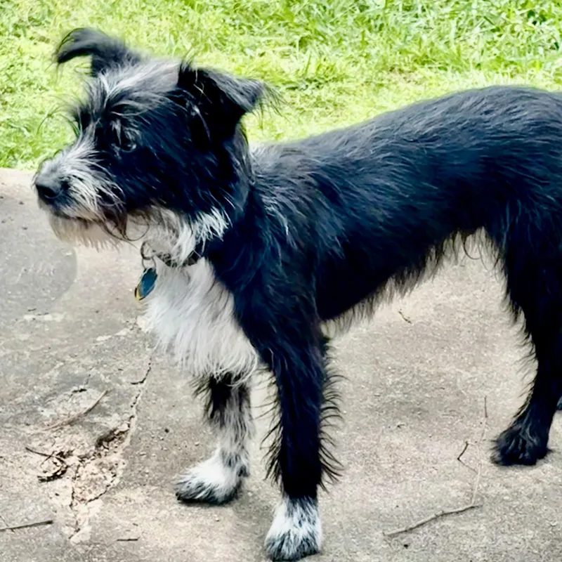 Spike Turner thumbnail 4