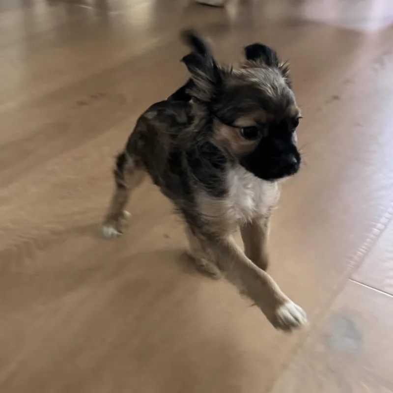 Jack