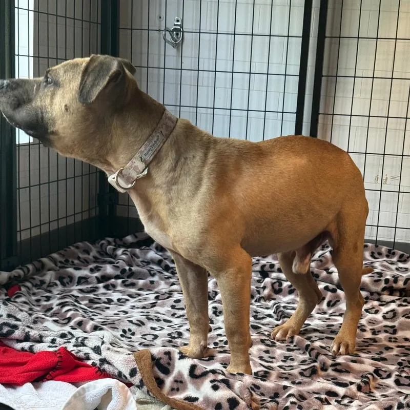 Zeke Wentz thumbnail 2