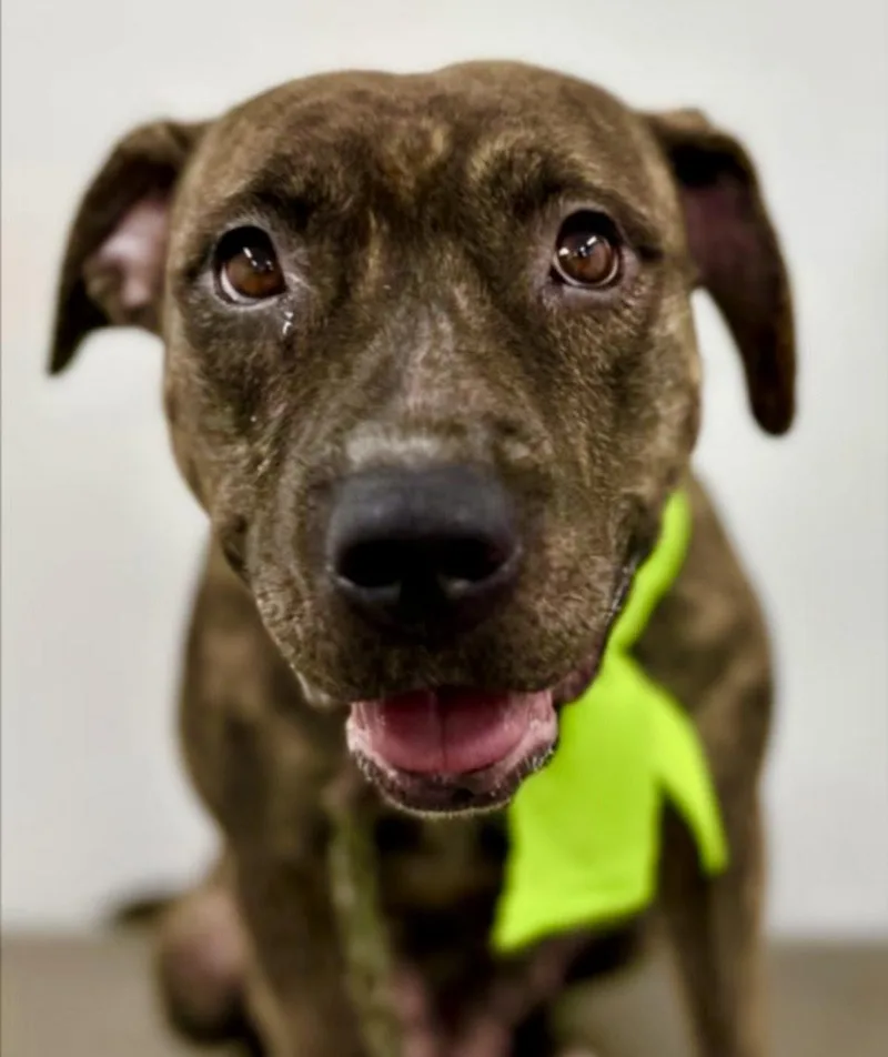 Sweet Juliet thumbnail 2