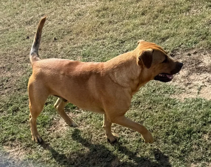 Jermaine thumbnail 2