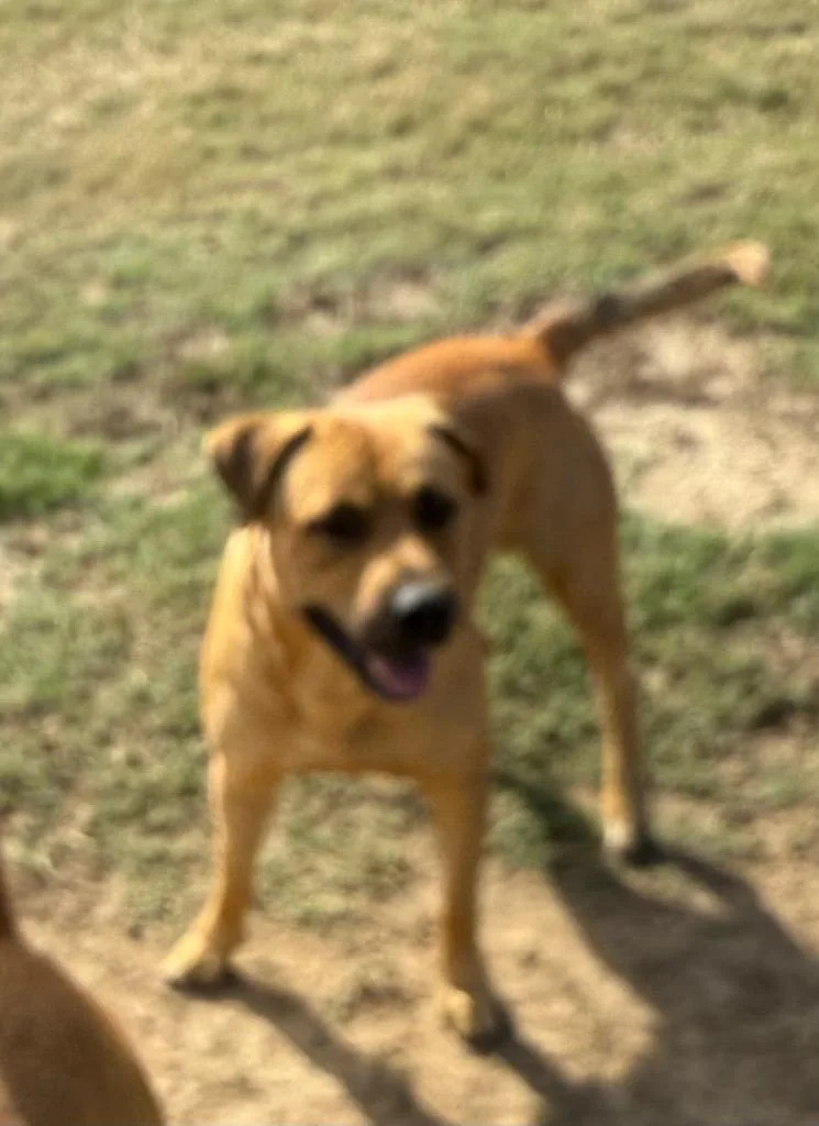 Jermaine thumbnail 3