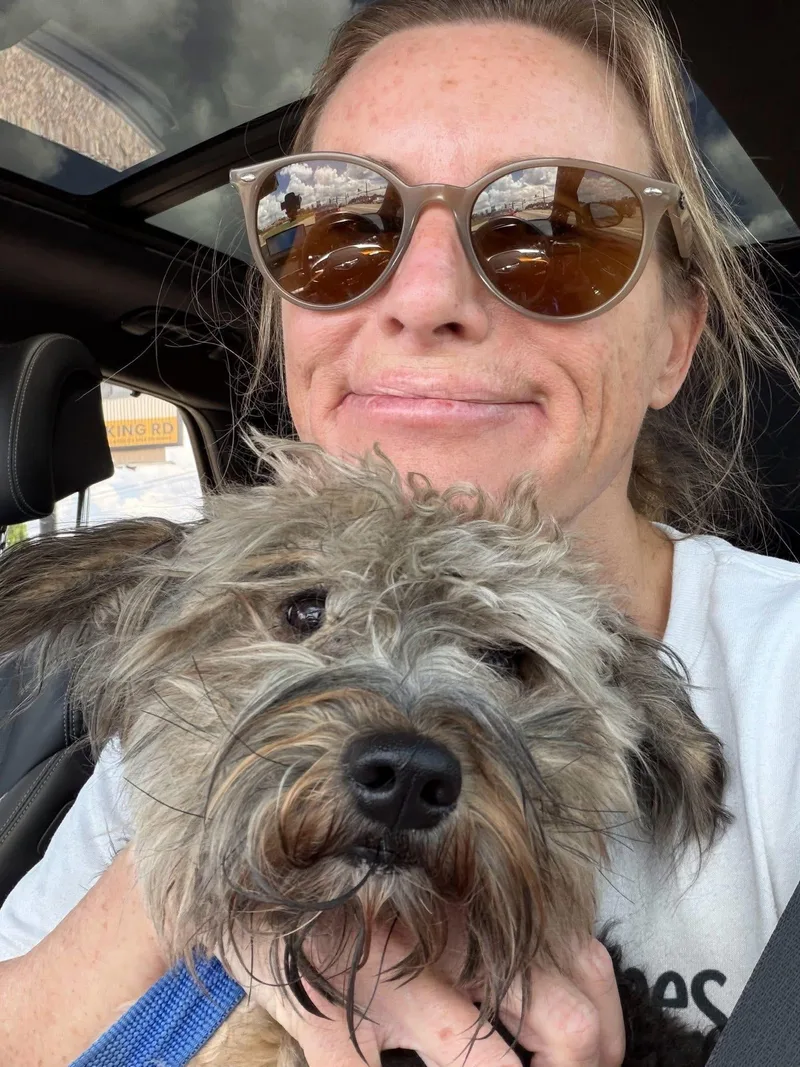 A young small-sized male Gray / Blue / Silver Yorkshire Terrier dog named Bob for adoption in Semmes, AL