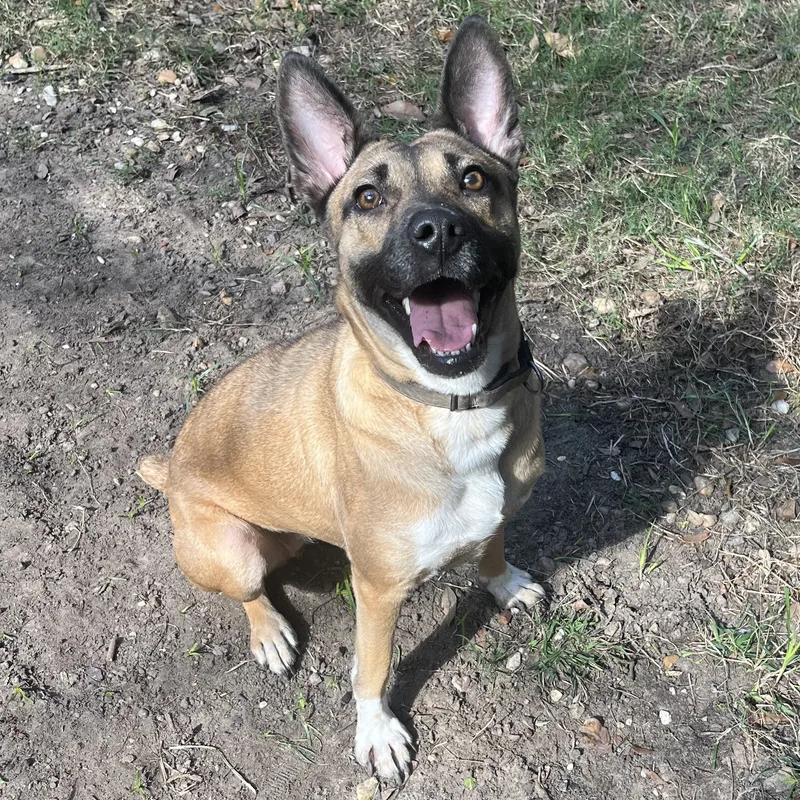 Lola Bunny thumbnail 3