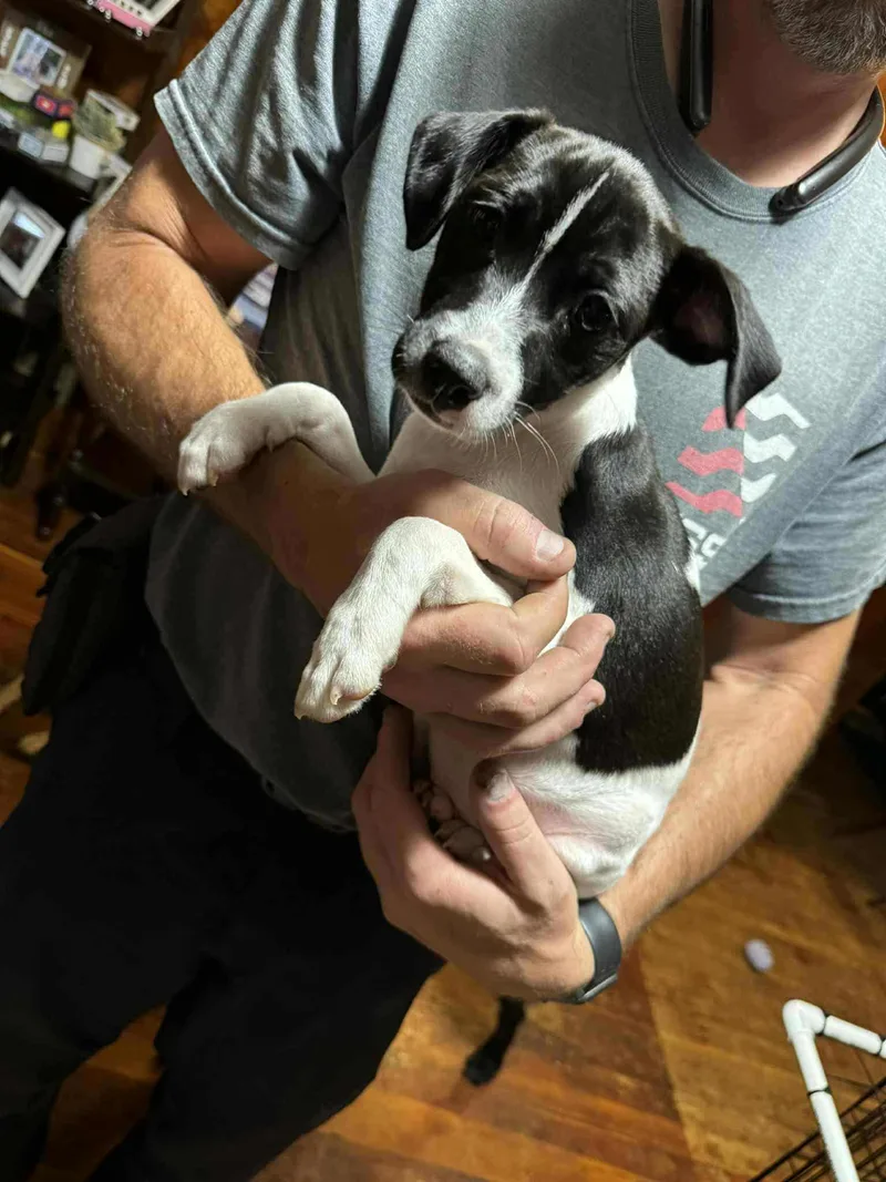 Percy Jackson thumbnail 2