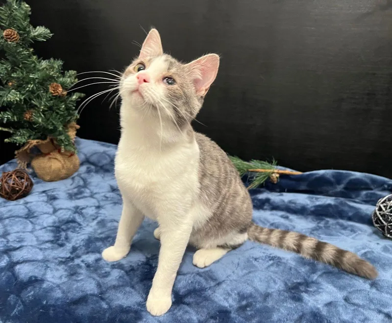 Sunshine thumbnail 2