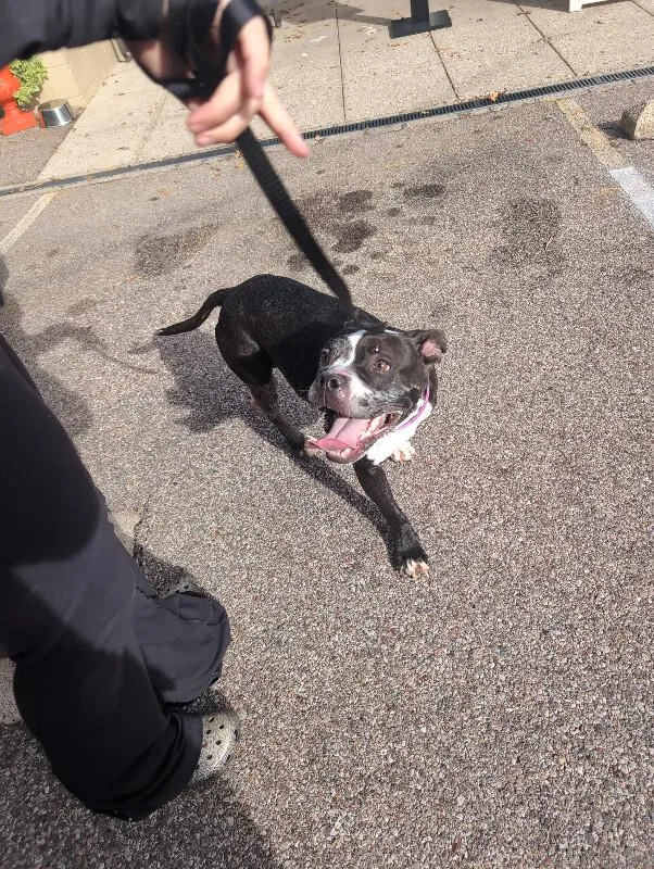 Maisy thumbnail 3