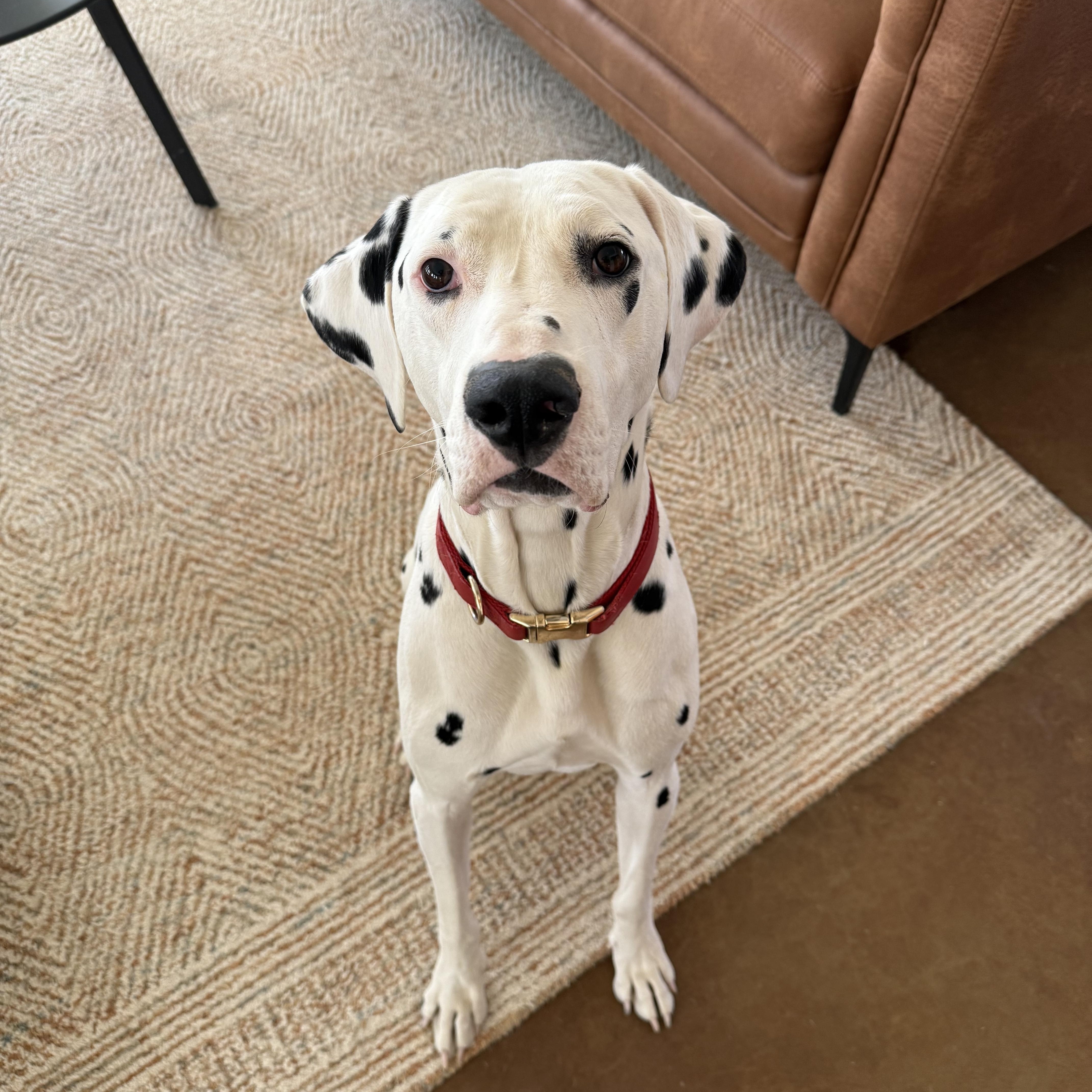 Leroyjoshua Tree  Ca thumbnail 2