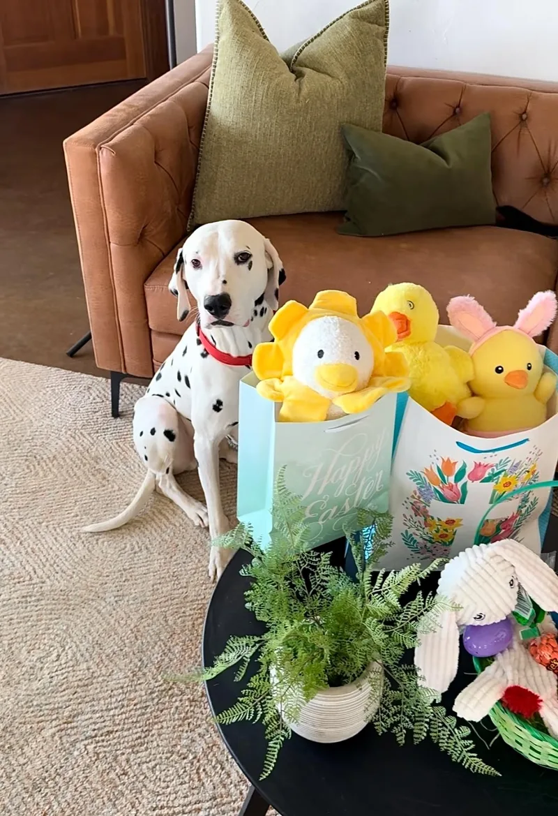 Leroyjoshua Tree  Ca thumbnail 4