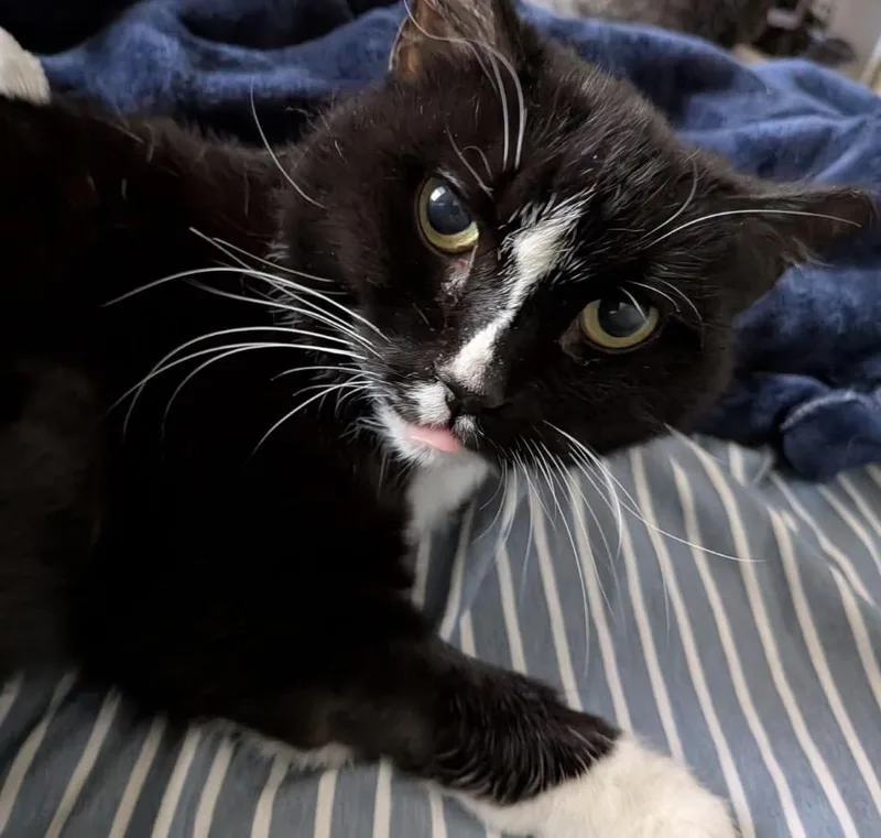 Laundromat thumbnail 5