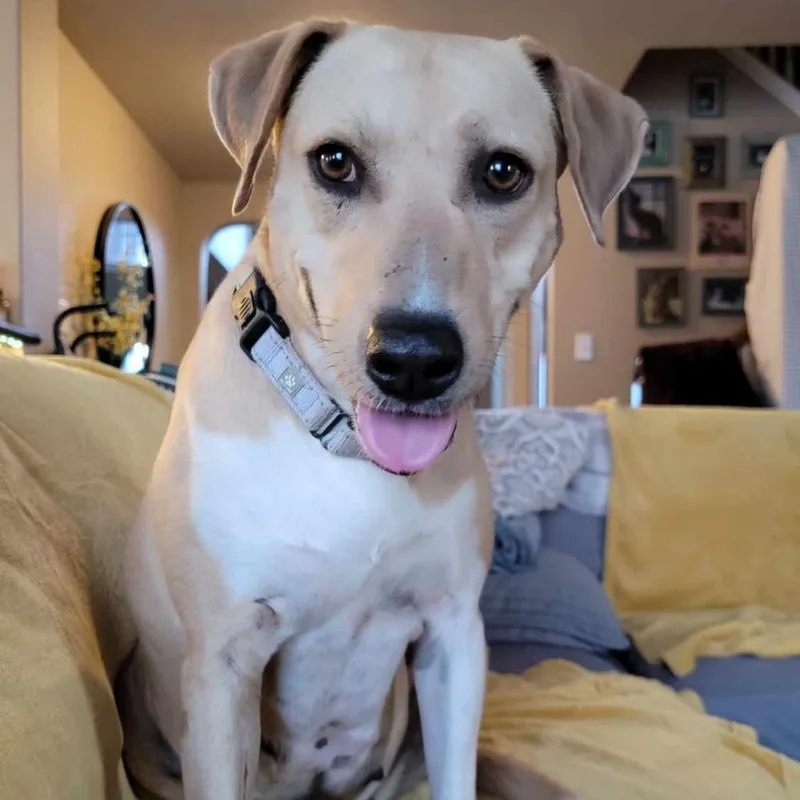 Mcmuffin Jum thumbnail 3