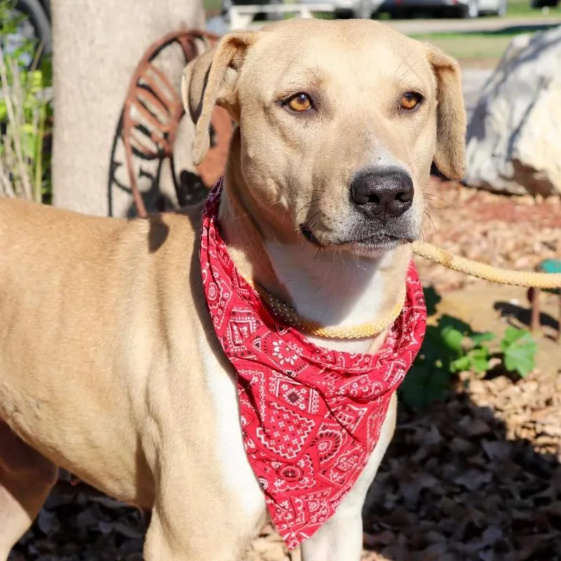 Mcmuffin Jum thumbnail 5