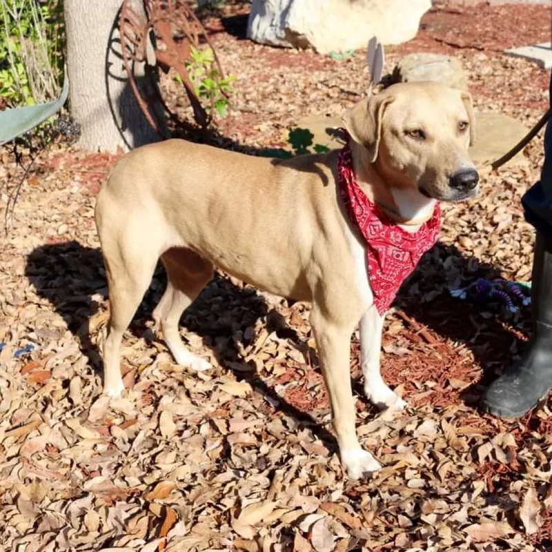 Mcmuffin Jum thumbnail 6