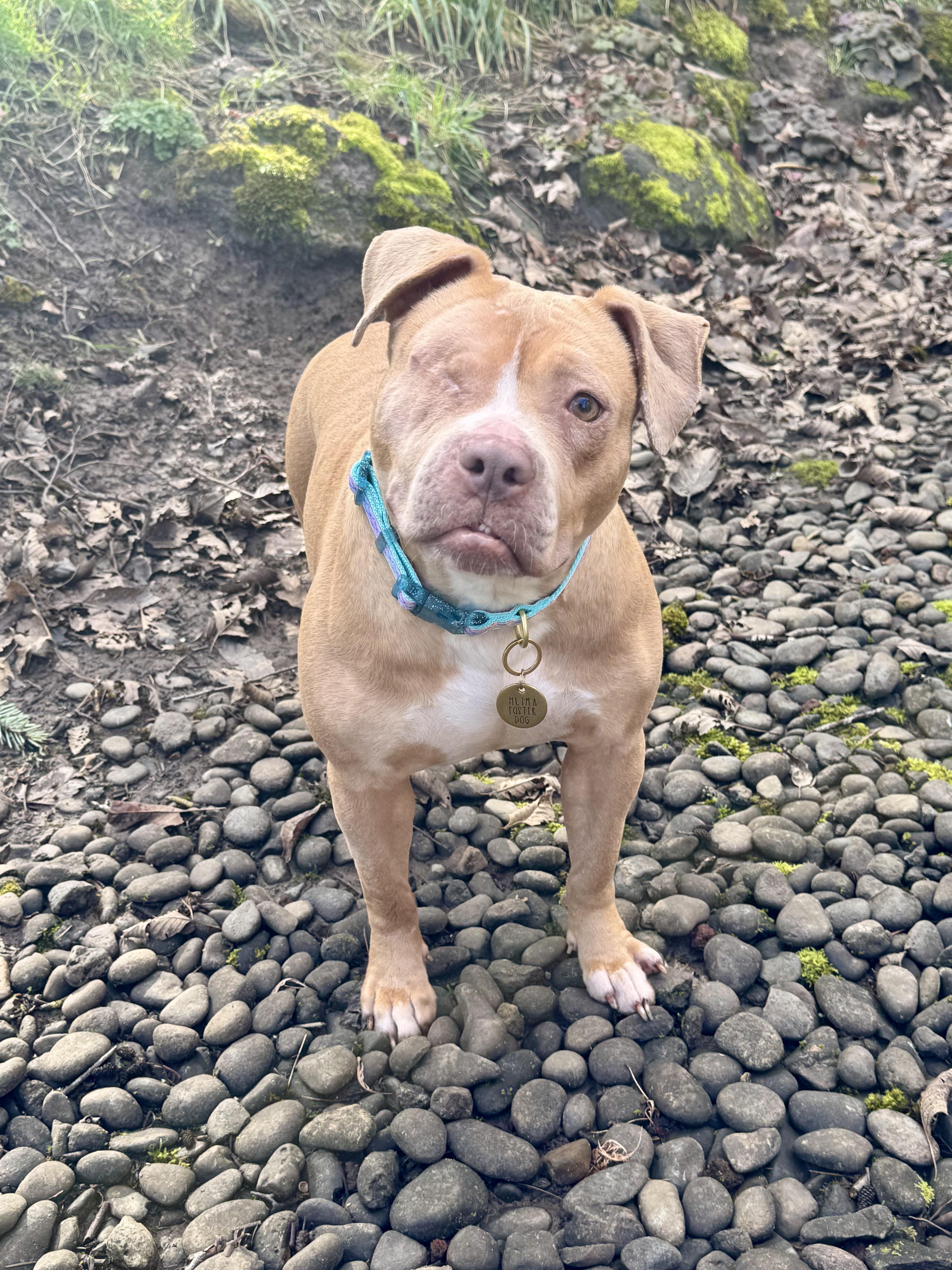 Tinkerbell thumbnail 2