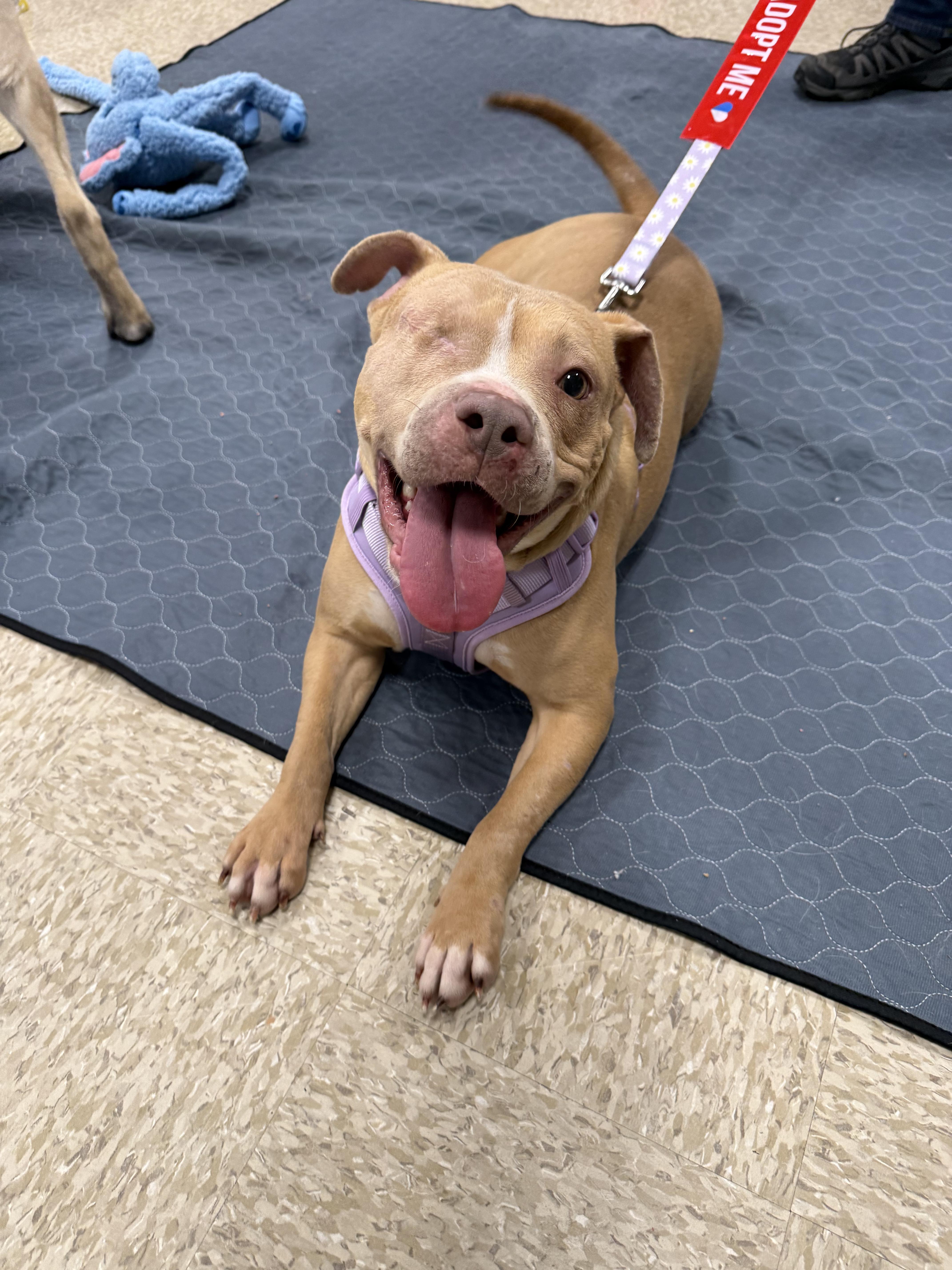 Tinkerbell thumbnail 3