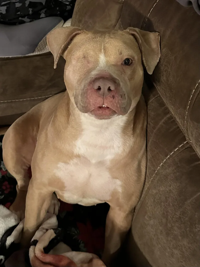 Tinkerbell thumbnail 4