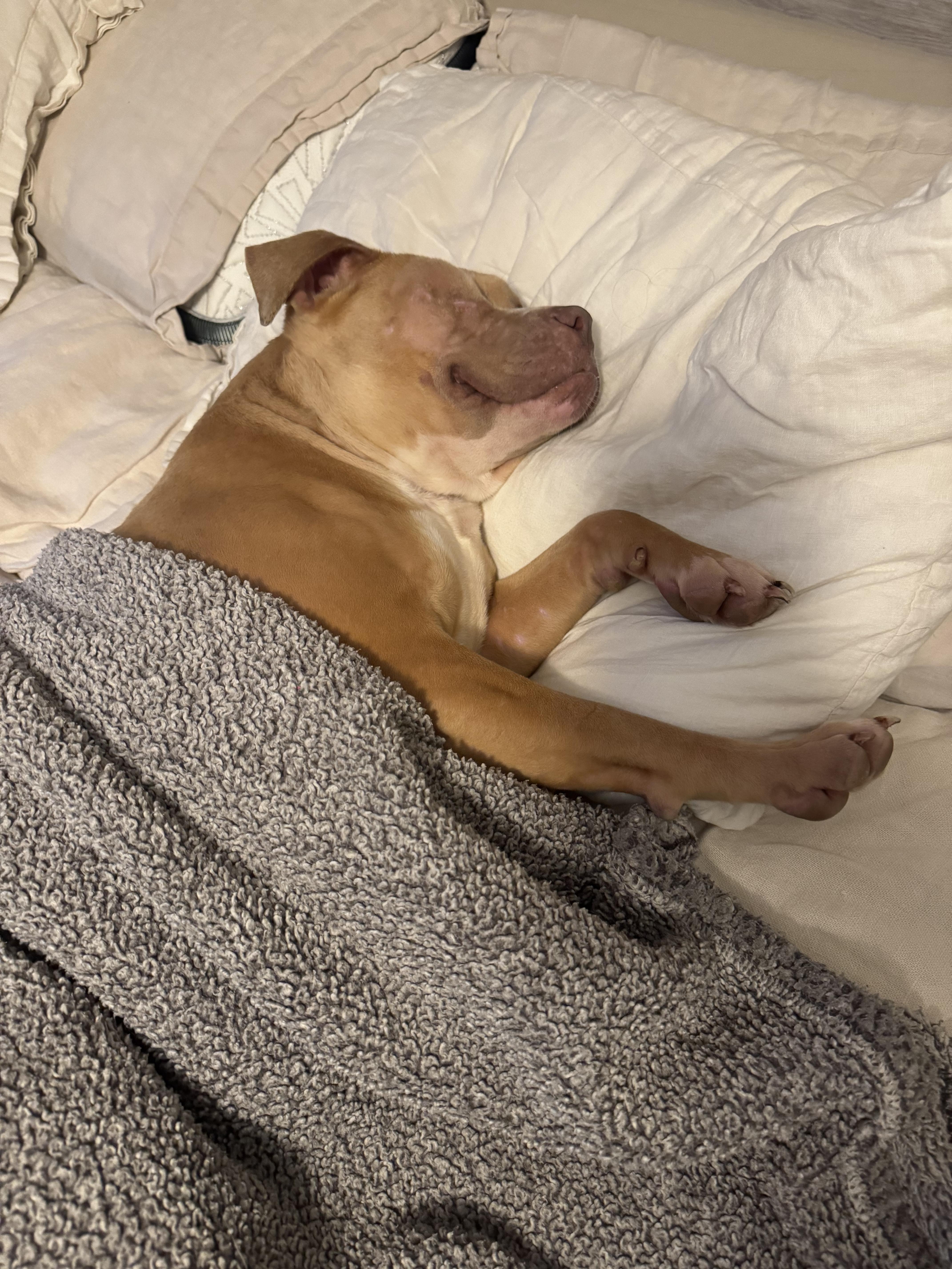 Tinkerbell thumbnail 6