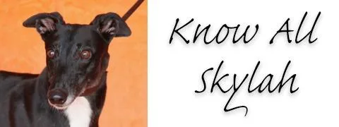 Know All Skylah thumbnail 2