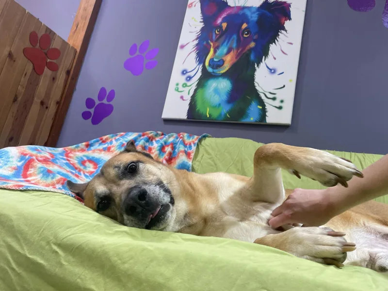 King Randol Oaks thumbnail 3