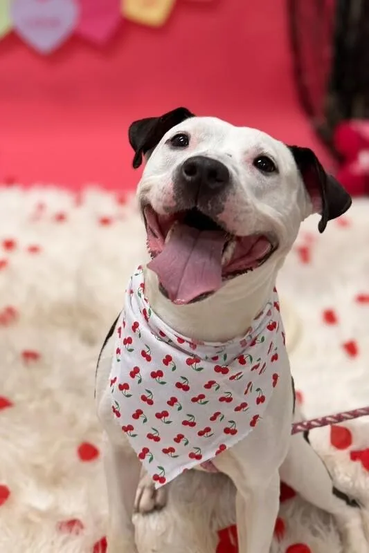 Mood Ring thumbnail 2