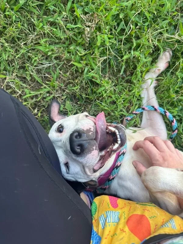 Mood Ring thumbnail 3