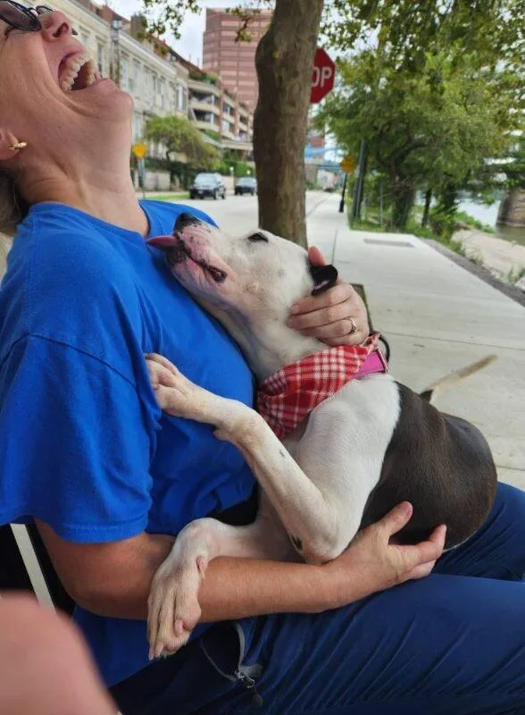 Mood Ring thumbnail 4