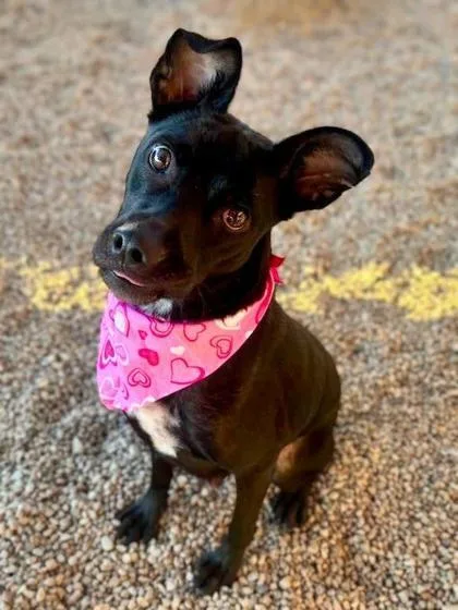 Leeandra thumbnail 2