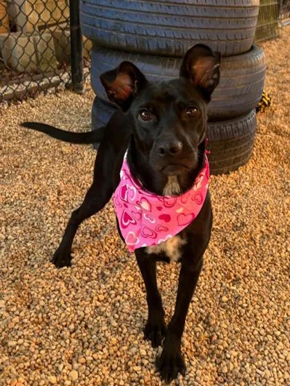 Leeandra thumbnail 3