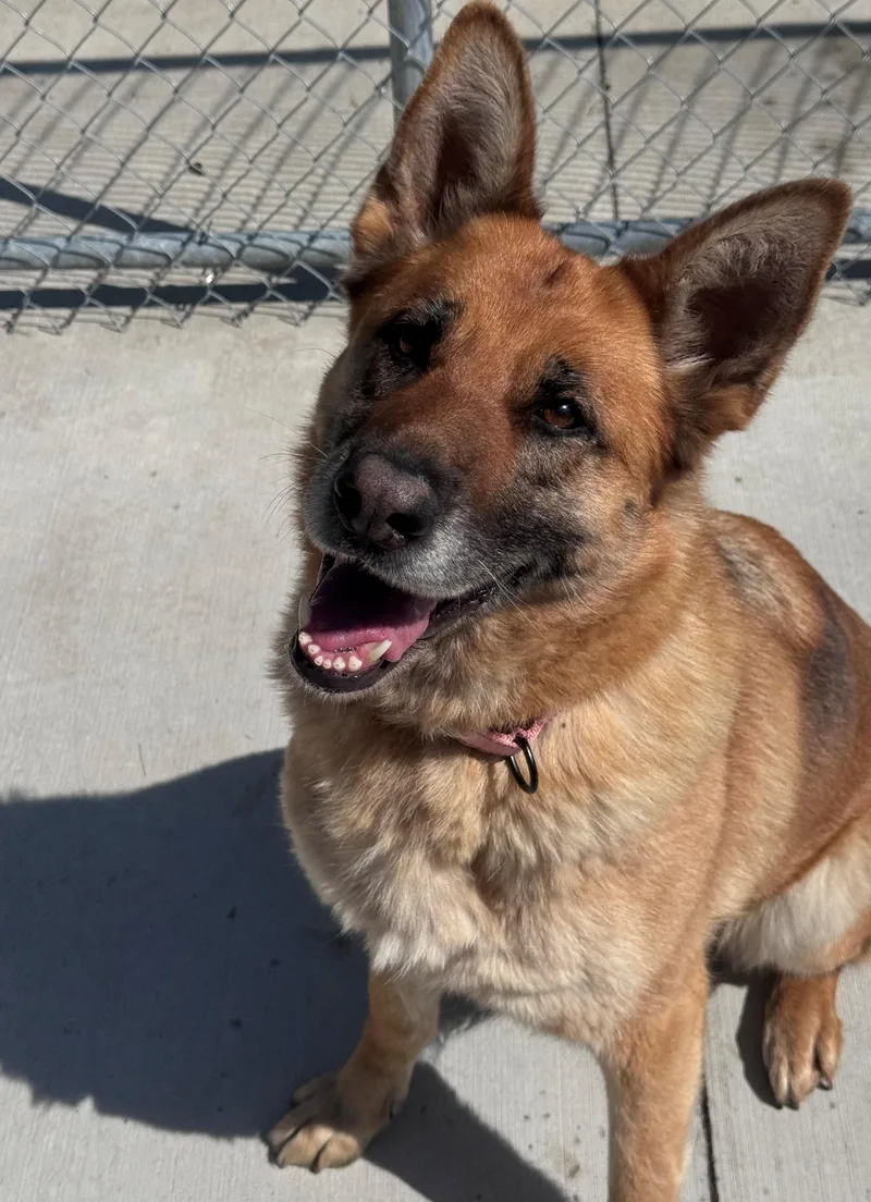 Lucy