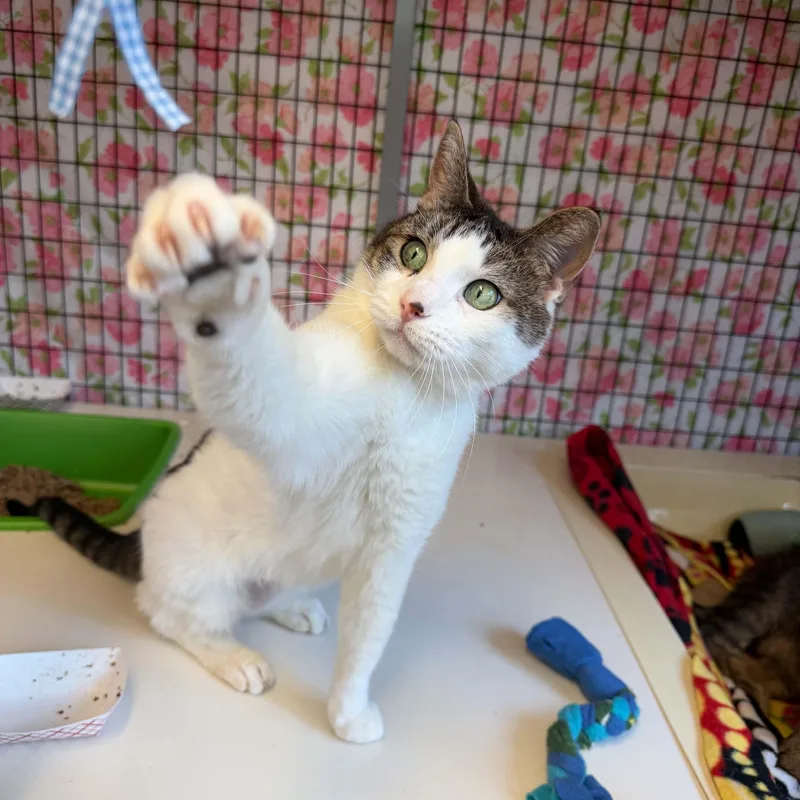 Samantha thumbnail 3