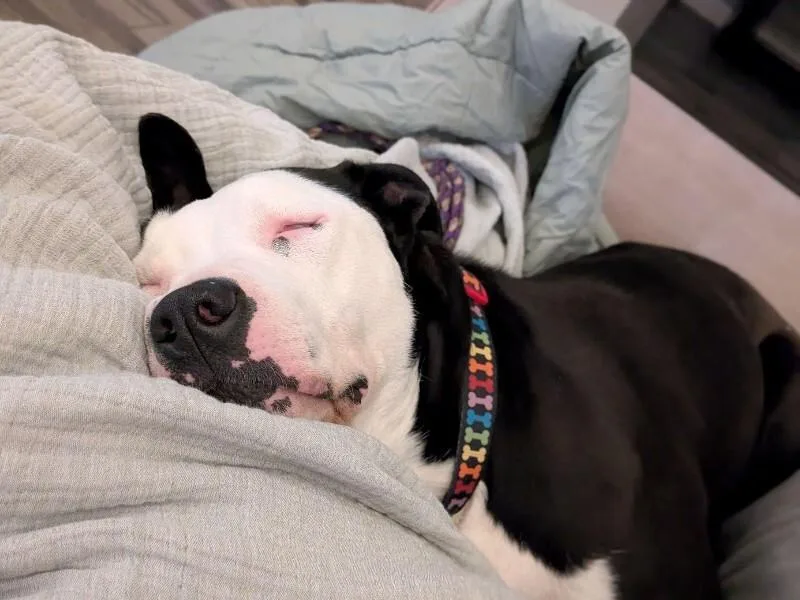 Sophie thumbnail 3