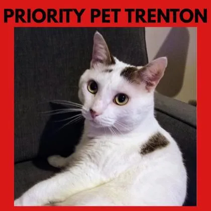 Trenton   `a