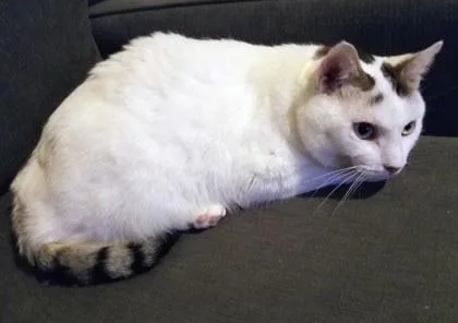 Trenton   `a thumbnail 2