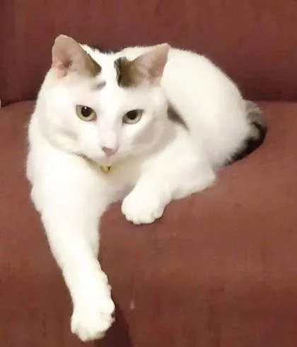 Trenton   `a thumbnail 3