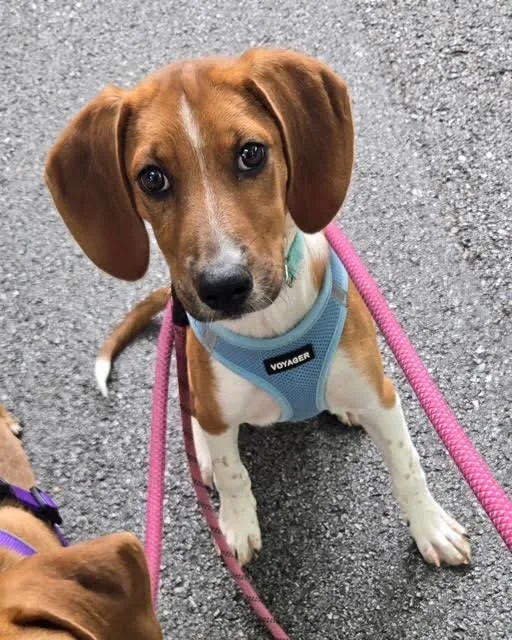 Ellie Mae thumbnail 2