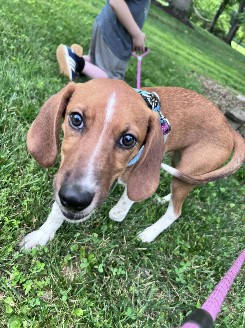 Ellie Mae thumbnail 3