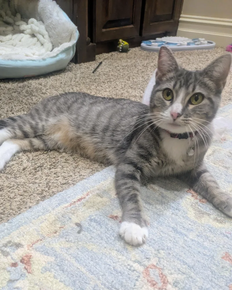 Mama Cupcake thumbnail 5