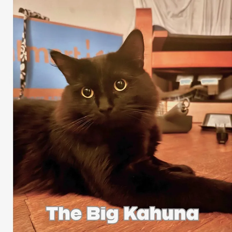 Kahuna thumbnail 3